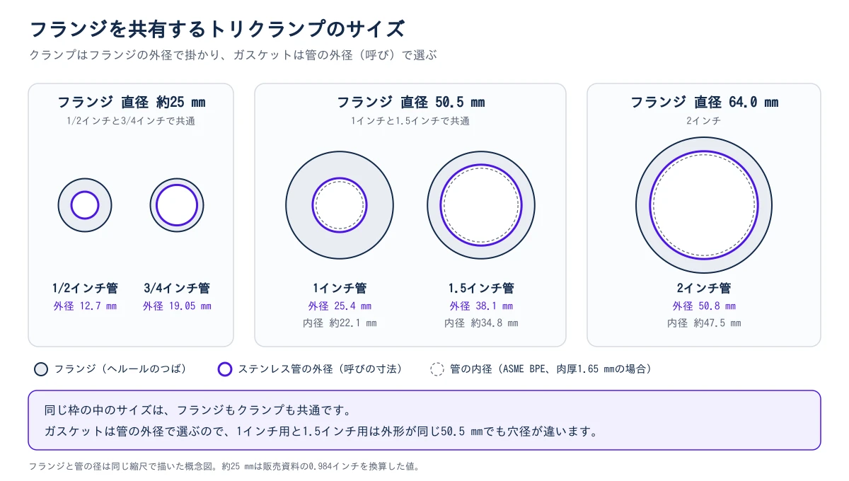 図2:トリクランプのフランジを共有するサイズ。1/2インチ管(外径12.7 mm)と3/4インチ管(外径19.05 mm)は直径約25 mmのフランジ、1インチ管(外径25.4 mm、内径約22.1 mm)と1.5インチ管(外径38.1 mm、内径約34.8 mm)は直径50.5 mmのフランジ、2インチ管(外径50.8 mm、内径約47.5 mm)は直径64.0 mmのフランジを使う。クランプはフランジの外径で掛かり、ガスケットは管の外径で選ぶため、1インチ用と1.5インチ用のガスケットは外形が同じ50.5 mmでも穴径が違う