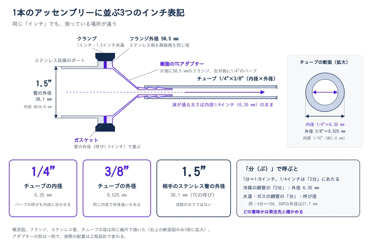 図1:1本のアッセンブリーに並ぶ3つのインチ表記。左のステンレス設備のポートは1.5インチのトリクランプで、1.5インチはステンレス管の外径38.1 mmを指し、管の内径は約34.8 mm。直径50.5 mmのフランジどうしをガスケットを挟んでクランプで締める。シングルユース側は、片側に50.5 mmのフランジ、反対側に1/4インチのホースバーブを持つ樹脂のアダプターで、そこに内径1/4インチ(6.35 mm)、外径3/8インチ(9.525 mm)、肉厚約1.6 mmのチューブが付く。下段は、1/4インチを「分」で呼ぶと2分にあたるが、冷媒の銅管の2分は外径6.35 mmを、水道の鋼管の分は呼び径を指すことを示す。径は同じ縮尺で描いた概念図