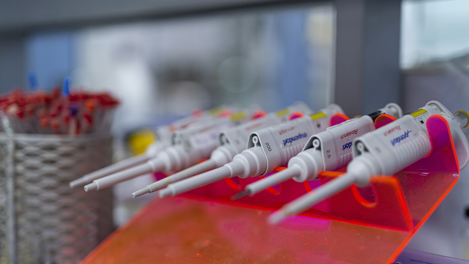 Laboratory pipettes ready for use in research
