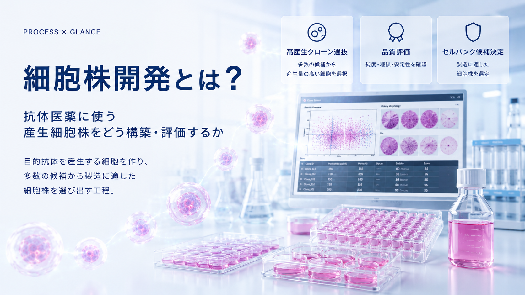 細胞株開発とは？抗体医薬に使う産生細胞株をどう構築・評価するか