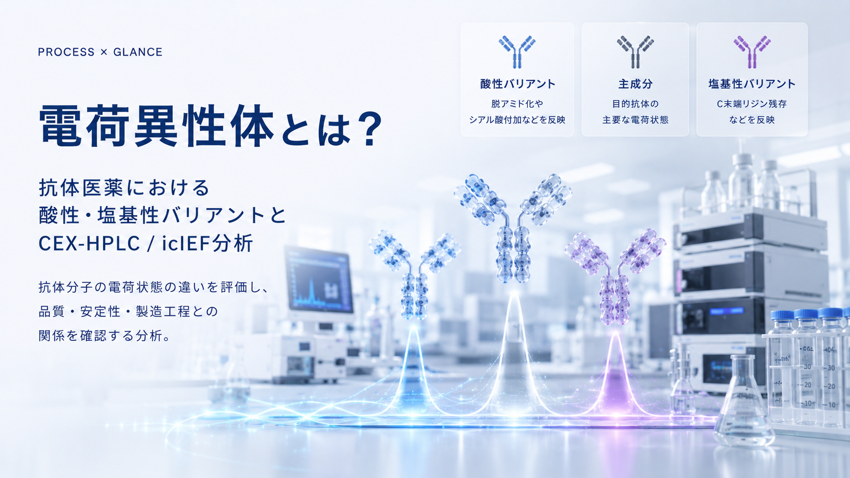電荷異性体とは？抗体医薬における酸性・塩基性バリアントとCEX-HPLC / icIEF分析