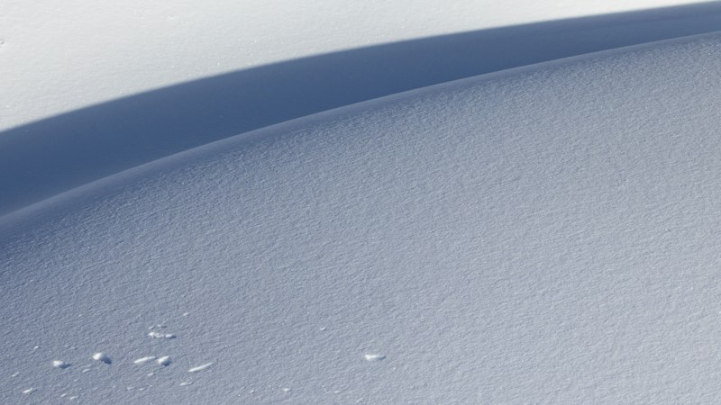 溶出試験・崩壊試験とは？飲み薬が体の中で溶けるかを、何で確かめるのか