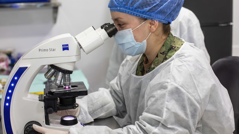 γδT細胞療法の製造とは？MHC非拘束と同種オフザシェルフ