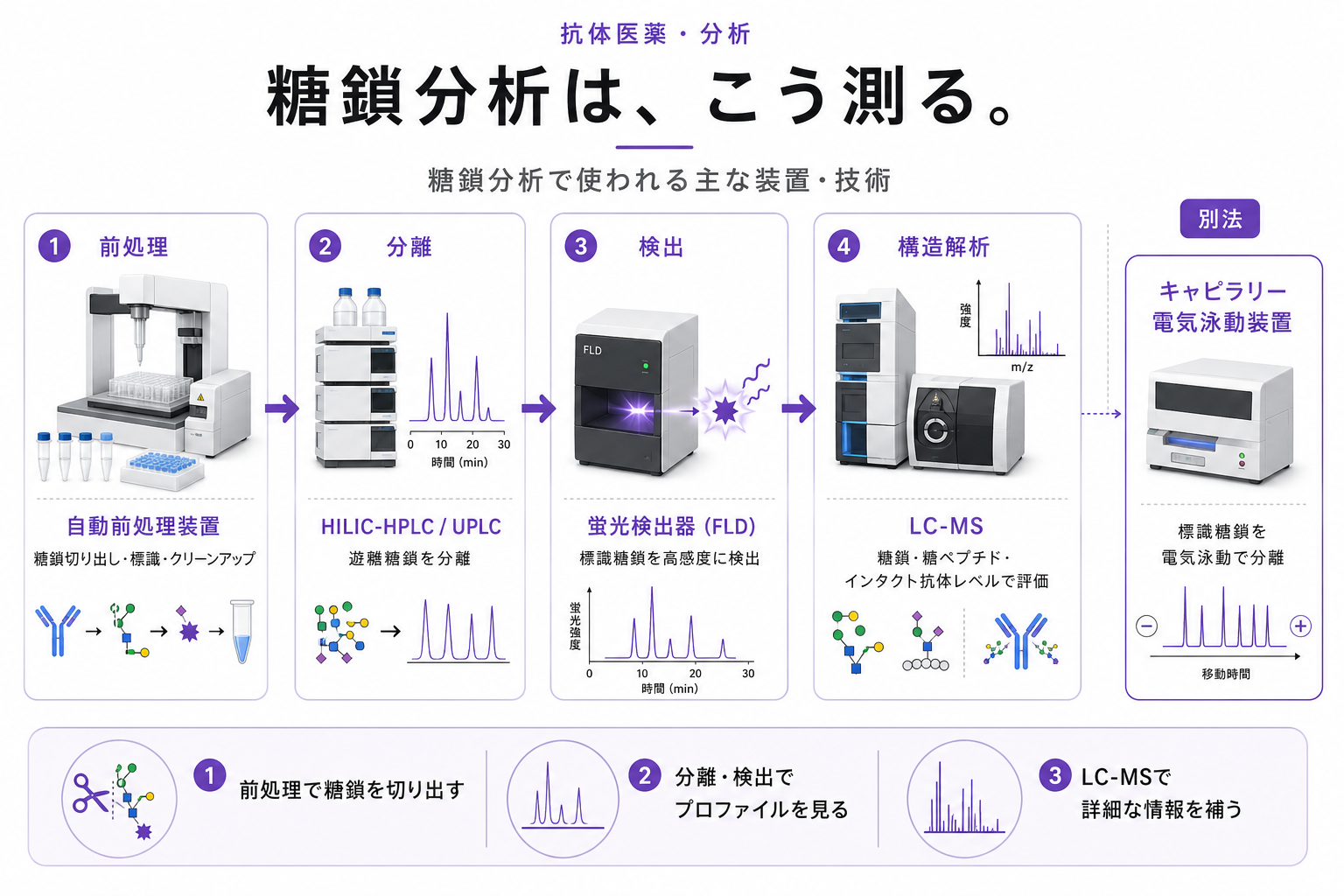 糖鎖分析の装置・技術の全体像:前処理から構造解析、別法のキャピラリー電気泳動まで