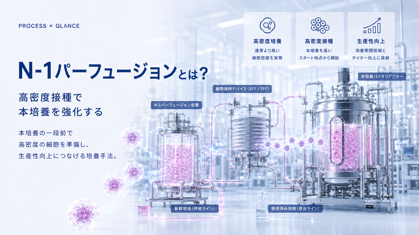 N-1パーフュージョンとは？高密度接種で本培養を強化する