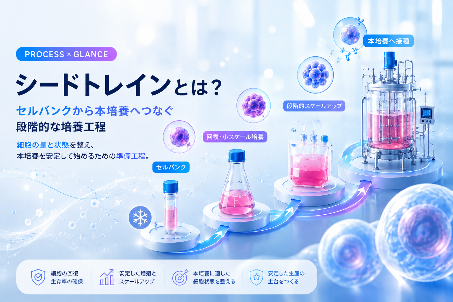 シードトレインとは？セルバンクから本培養へつなぐ段階的な培養工程